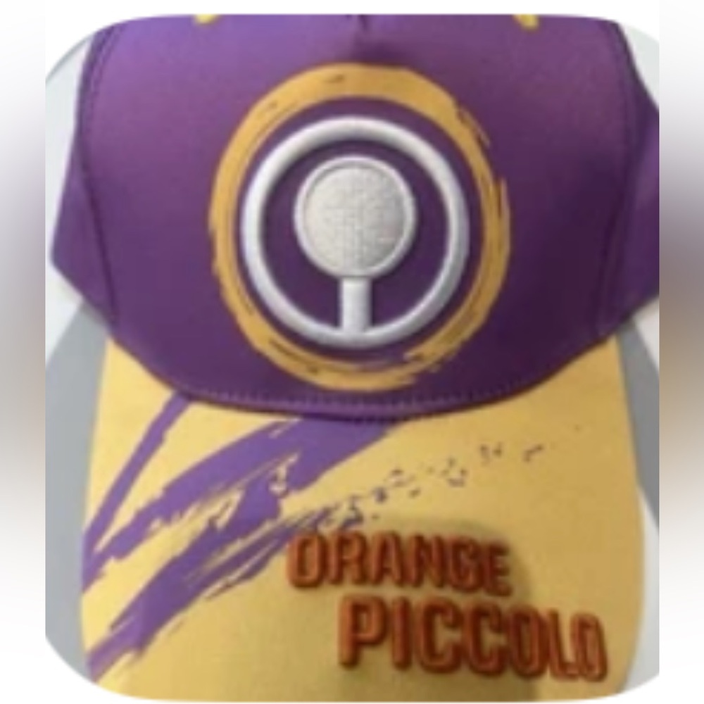 DRAGONBALL Z PICCOLO SNAPBACK HAT. BRAND NEW
ONE SIZE FITS ALL